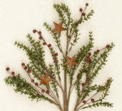 BRANCH - FLOCKED LEAVES W/BU BERRIES & RUSTY STARS