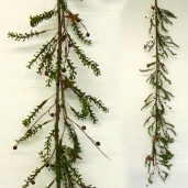 GARLAND - FLOCKED LEAVES W/BU BERRIES & RUSTY STAR