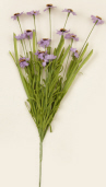 Branch - Mini Asters, Lavender