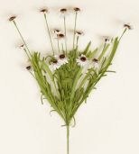Branch - Mini Asters  White
