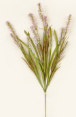 Branch - Liatris, Lavender