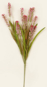 Branch - Liatris  Pink