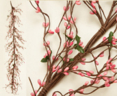 GARLAND - PRIMITIVE BERRY; PINK