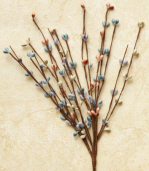 Primitive Berry - Pick, Coral/Blue