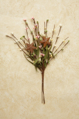 Primitive Berry - Pick, Pink/Cream/Yellow/Green