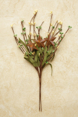 Primitive Berry - Pick, Yellow/Green
