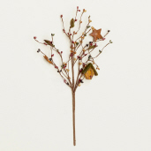 PICK - BERRIES  BIRD HOUSES & STARS
