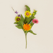 Pick - Chrysanthemum