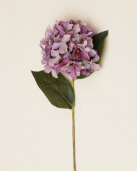STEM - HYDRANGEA  LAVENDER