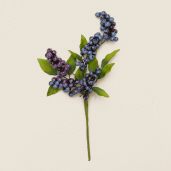 BRANCH - BLUEBERRIES