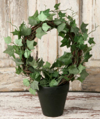 WREATH - IVY - POTTED