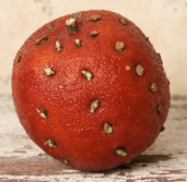 POMEGRANATE WITH CLOVES -  ARTIFICIAL FRUIT