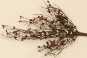 Sprig - Primitive Berry  Rusty Stars