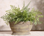 MIXED FERNS - OVAL URN