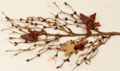 Branch - Star/Heart - Burgundy And Tan Berries