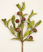 PICK - LARGE BERRIES
