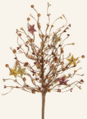 Branch - Primitive Berry  Tin Stars