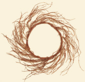 WREATH - LOOSE TWIG