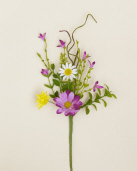 Pick  Assorted Daisies