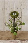 Mini Nest In Foliage Pot