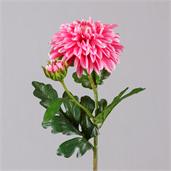 Branch - Dahlia, Raspberry