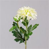 Branch - Dahlia, White