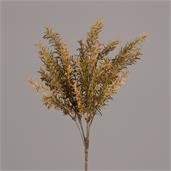 Pick - Asparagus Fern - Tan-Green