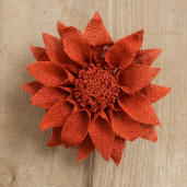 Gerbera Daisy -   Rust