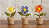 Burlap Daisies