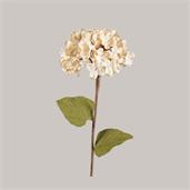 Burlap Hydrangea