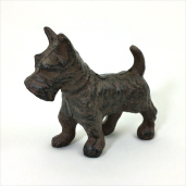 Scottish Terrier