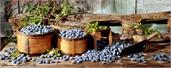 Canvas Print - Blueberries, Sm