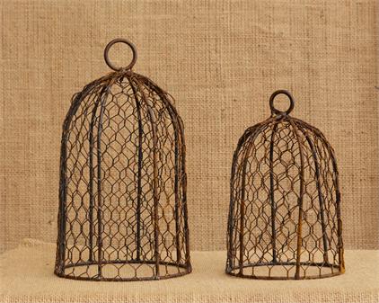 Rusty Bird Cage Domes