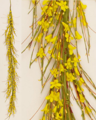 Forsythia - Garland