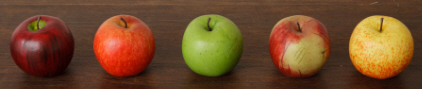 Decorative Apple Assortment
