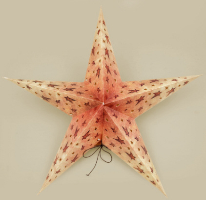 Hanging Paper Star