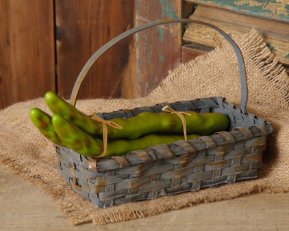 Asparagus - Decorative