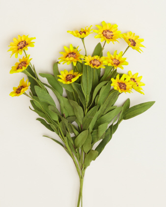 Branch - Daisies  Yellow