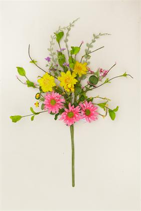 Pick - Assorted Daisies
