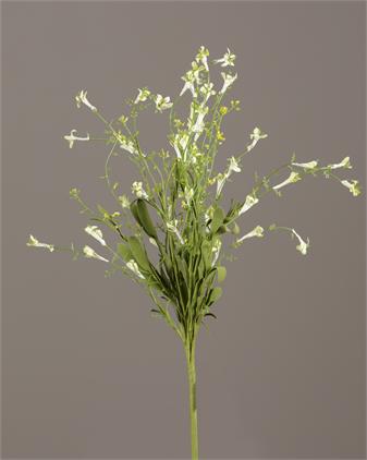Pick - Bellflower