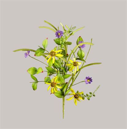 Pick - Black Eyed Susan