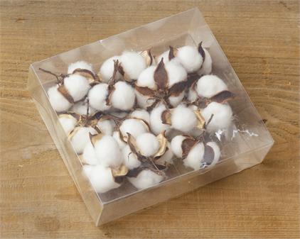 Box - Cotton Pods