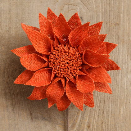 Gerbera Daisy -   Orange