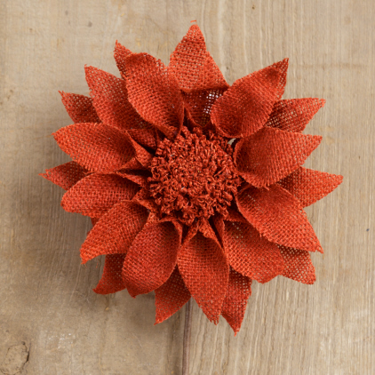 Gerbera Daisy -   Rust