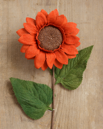 Sunflower -   Orange