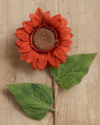 SUNFLOWER -   RUST