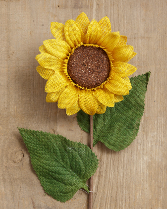 Sunflower -   Yellow