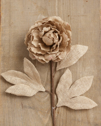 Peony - Burlap Natural