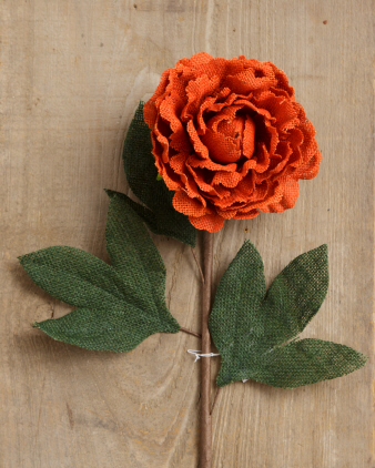 Peony - Burlap   Orange