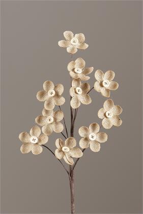 Pick  Burlap Cosmos, Natural